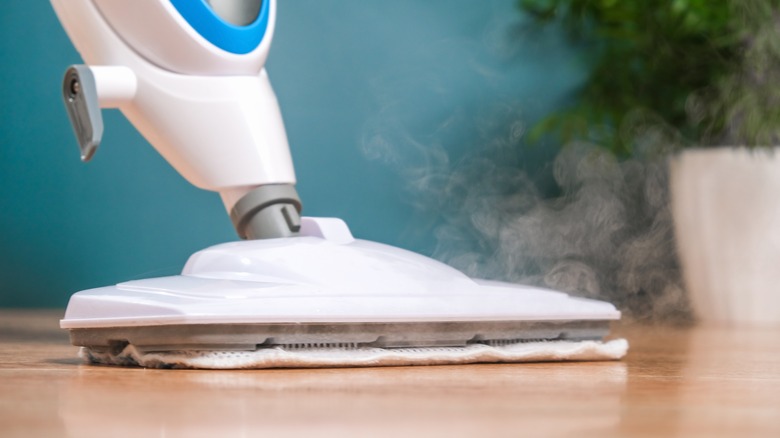 steam mop on hardwood