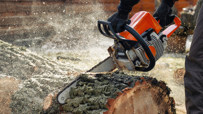 Person using a chainsaw to cut a log