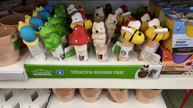 Close up of Dollar Tree terracotta watering stakes on store shelf