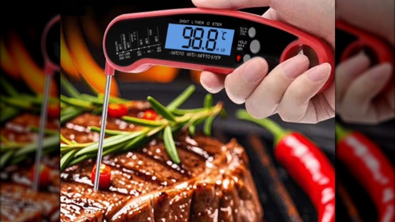 Mountain Country Digital Meat Thermometer in a piece of steak