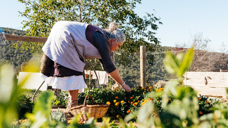Woman bending over in the garden