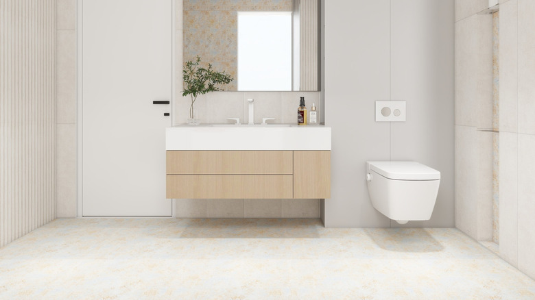 modern wall hung toilet