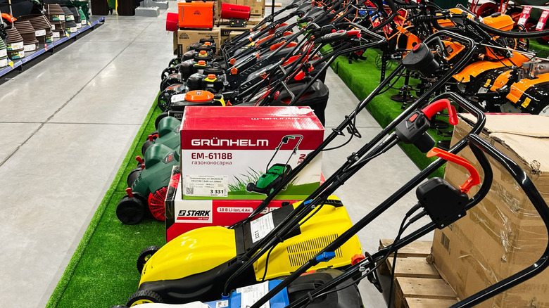 Push lawn mower line-up at a home improvement store
