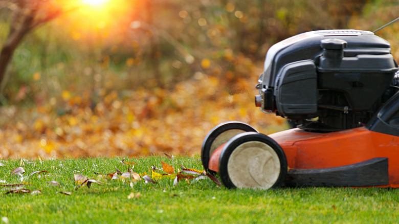 A push lawn mower cutting grass on a sunny, autumn day