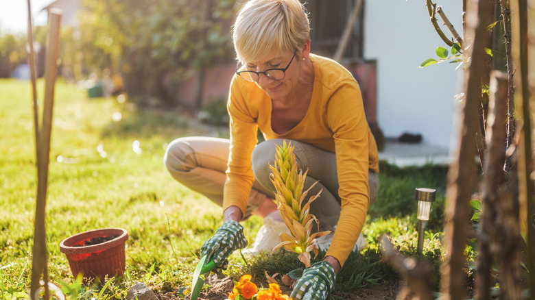 Woman gardening in autumn light