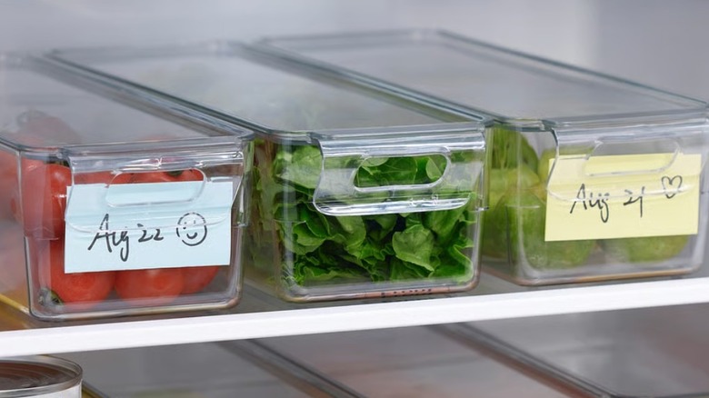 Clear food organizers on a fridge shelf
