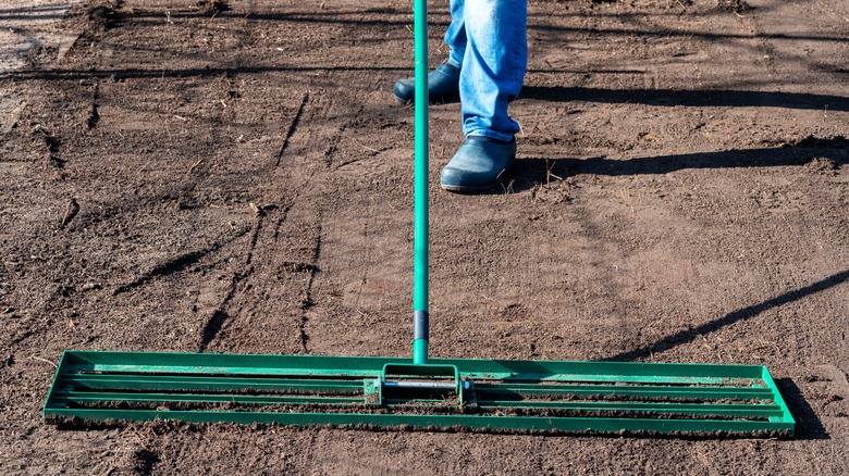 Personal leveling the ground with a lawn rake