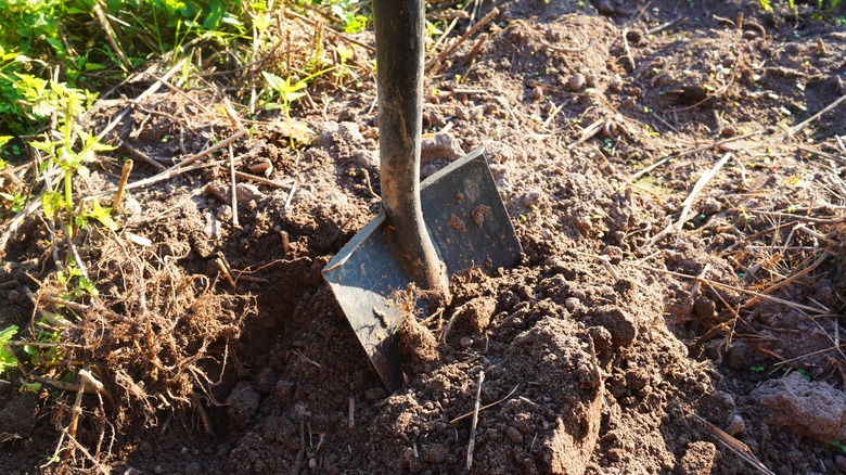 Shovel digging into soil