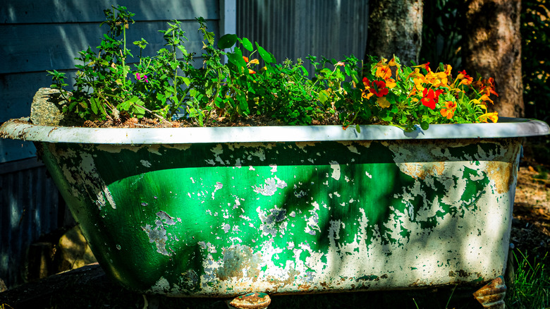 old bath tub for planter in garden