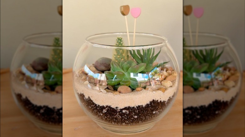 Glass bowl vase with succulents and substrate on wood table