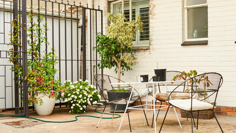 The side of a house and patio with furniture, a gate, and plants growing nearby it.
