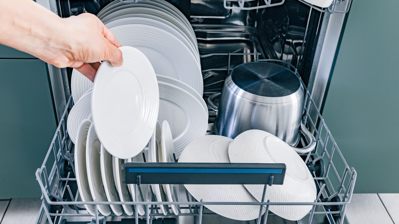 Person loading plate into dishwasher