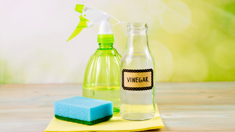 Vinegar in spray bottle