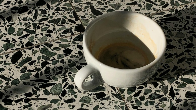 Terrazzo floors