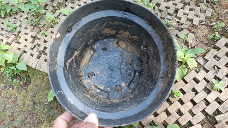 Empty black plastic flower pot with drainage holes