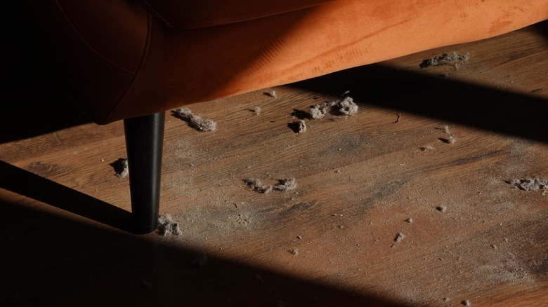 dust under couch