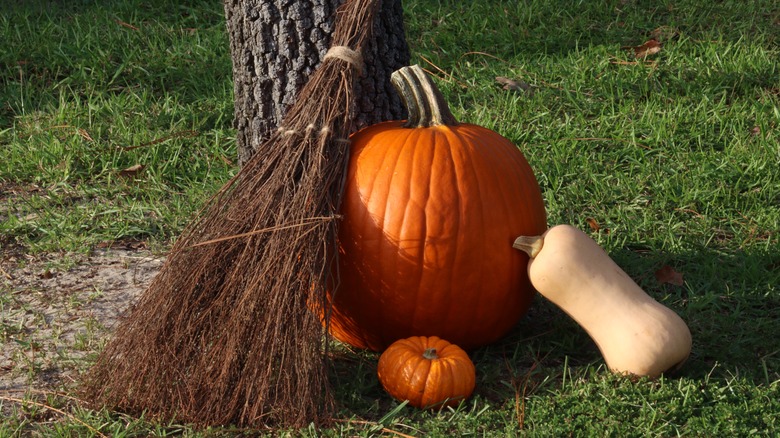 Rustic cinnamon broom leaned against a tree with pumpkins and a squash next to it