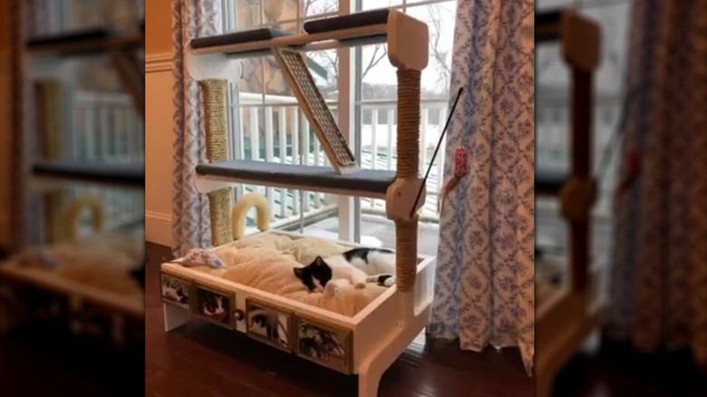Black and white cat lying in a cat bed made from a vintage thrift store quilt rack, the sides wrapped with rope and a scratching ramp added