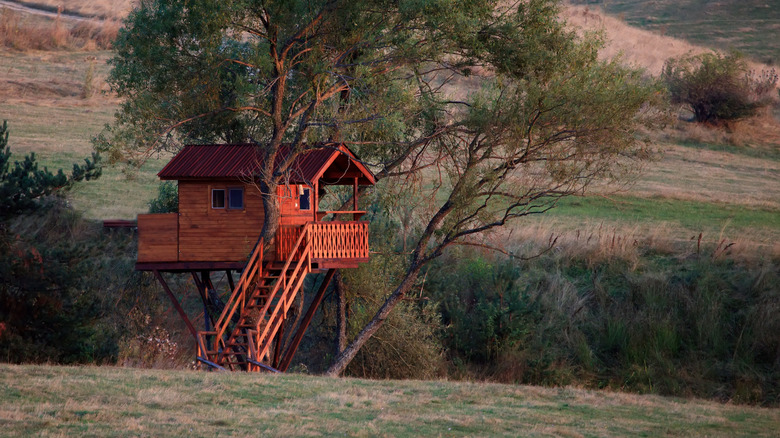 A tiny wooden house built into a tree among hills.