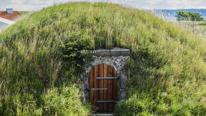 The door to a home visible underneath an overgrown hill.