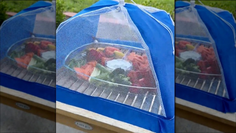 Veggie tray covered by a blue food tent on a table in a yard.