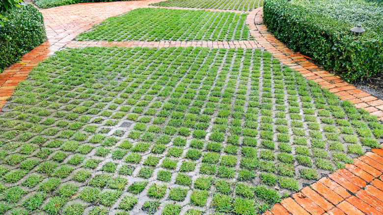 Brick pavers define a driveway that is also bordered with a hedge and containing intentional squares of grass.
