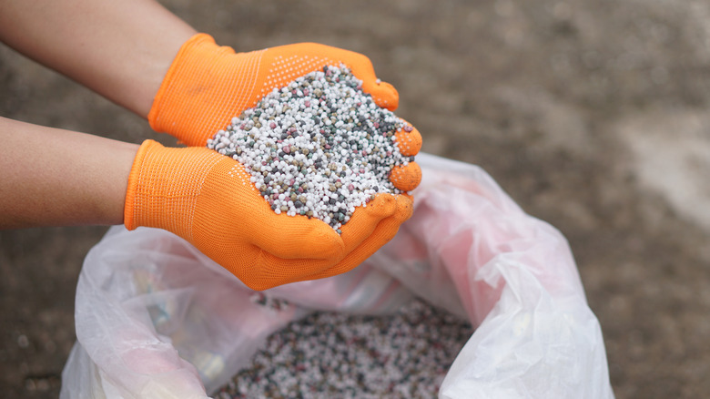 fertilizing the soil late in the season