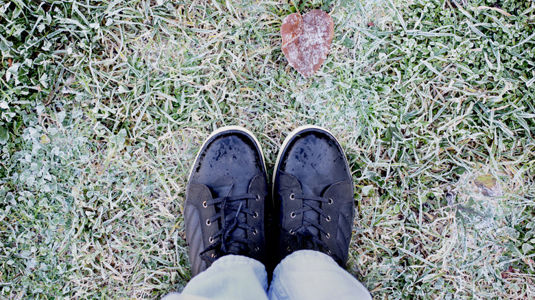 standing on frozen grass