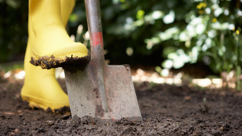 digging in wet soil