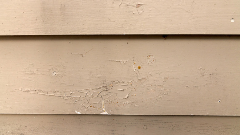 Wood Siding on House shows peeling and cracked painting and early signs of decay