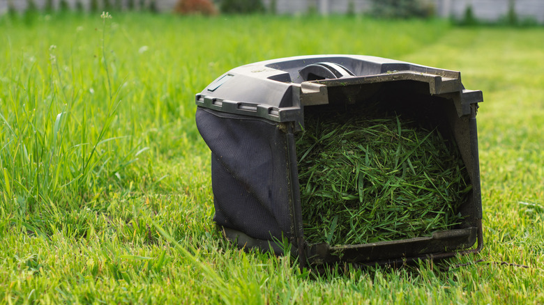 A lawn mower bag filled with grass clippings