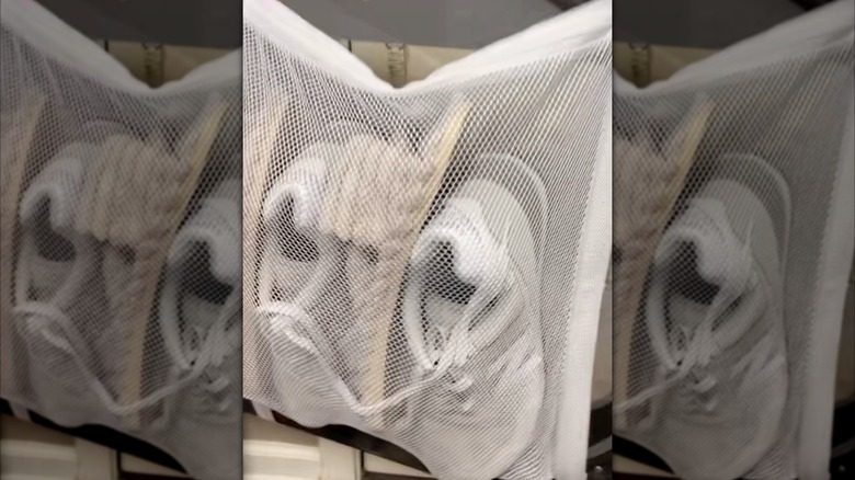 Putting a pair of shoes in a mesh laundry bag in dryer