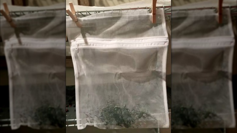 Herbs in a mesh laundry bag hanging from wooden clothespins