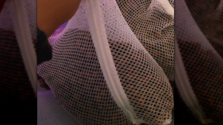 LECA balls in a white laundry bag