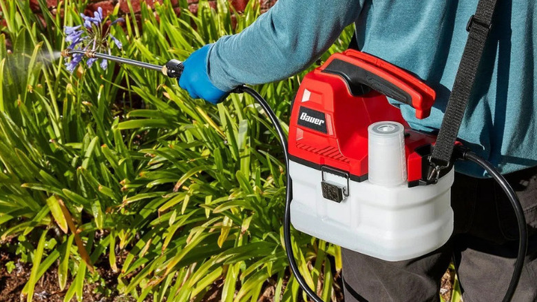 A person using Bauer's 20V Lithium-Ion Cordless, 1 Gallon Chemical Sprayer to spray plants in a garden