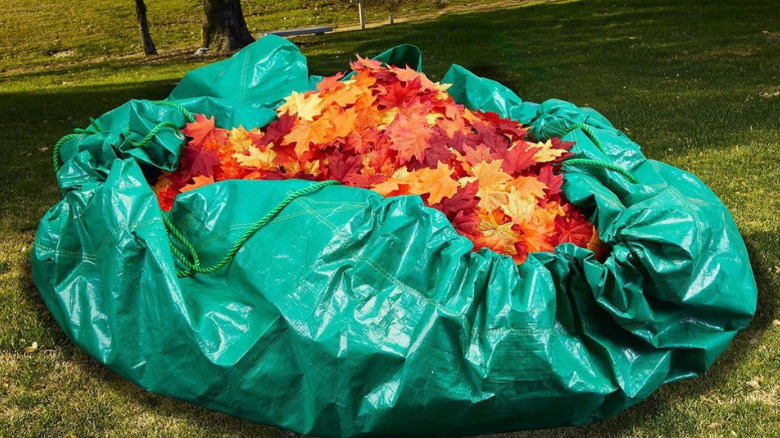 HFT's Drawstring Tarp filled with fallen leaves