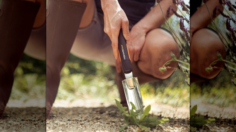 Fiskars Xact Hand Weeder