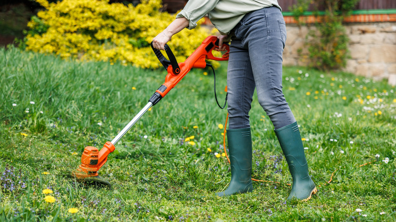 Person using weed wacker on lawn