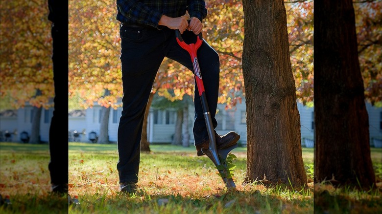 Radius Garden 23511 Root Slayer Deep Weeder