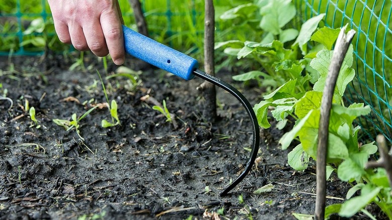CobraHead Original Weeder & Cultivator Garden Hand Tool