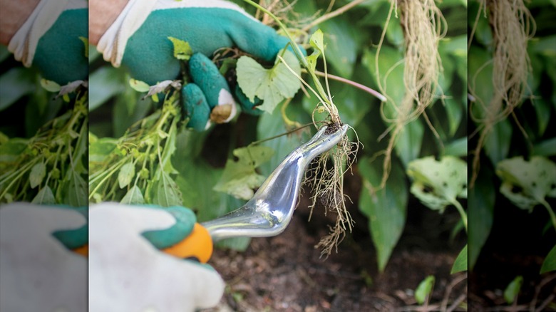 Fiskars Ergo Weeder Tool