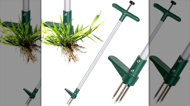 Walensee Weed Puller