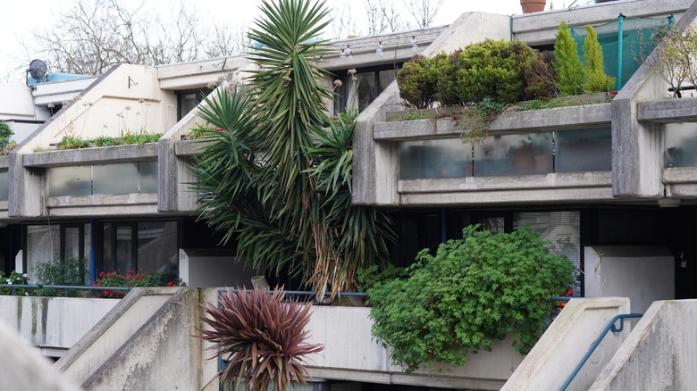 Brutalist style house made of concrete featuring multiple garden terraces
