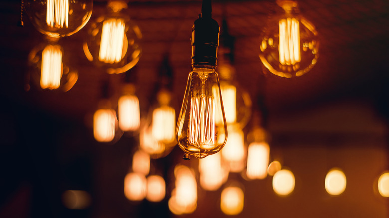 A cluster of Edison light bulbs hanging down from a ceiling