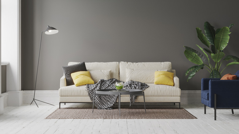A living room with a gray wall, a white two-seater sofa, and a blue accent chair