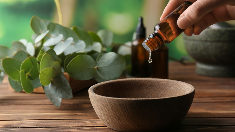 person pouring essential oil into bowl