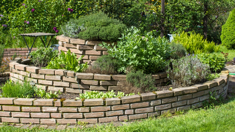 A large example of an herb spirals is lined with bricks, and set against shrubbery and a small table