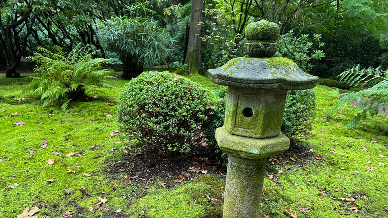 An Asian-inspired yard is filled with moss, ferns and stone features