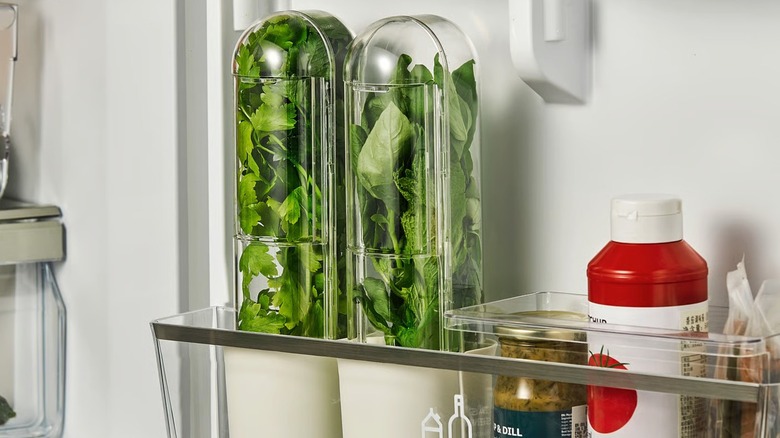 KLIPPKAKTUS Herb storage in fridge door shelf