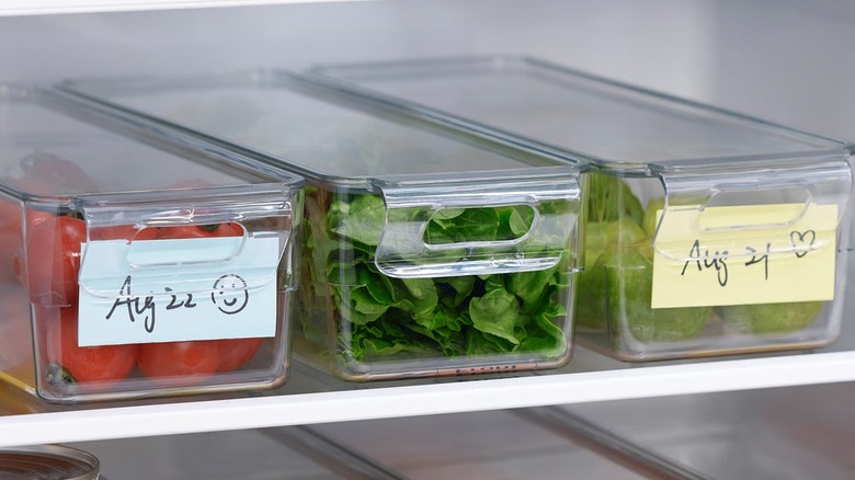 KLIPPKAKTUS Storage box filled with produce